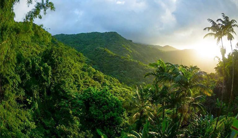 Tour del Yunque